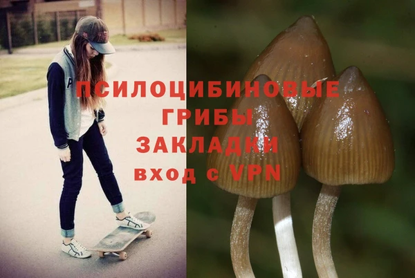 ALPHA PVP Алексеевка
