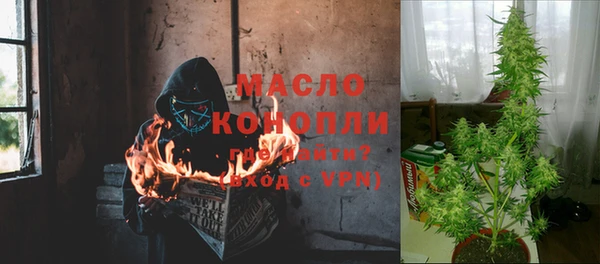 соль курить ск Каменка
